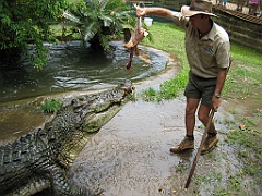 126 Cairns Tropical Zoo